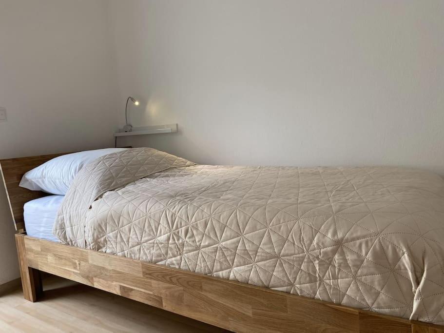 Neu Apartment In Schloss Naehe,Parkplatz, Netflix Sögel Kültér fotó